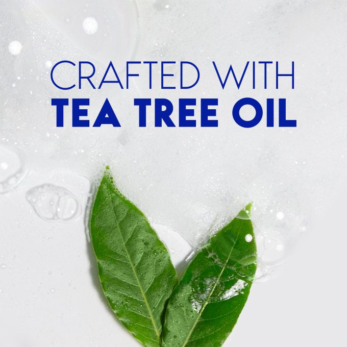 Tea Tree Oil Anti-Dandruff Shampoo for Daily Use, Paraben Free